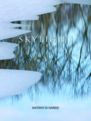 cover image of Skylight
